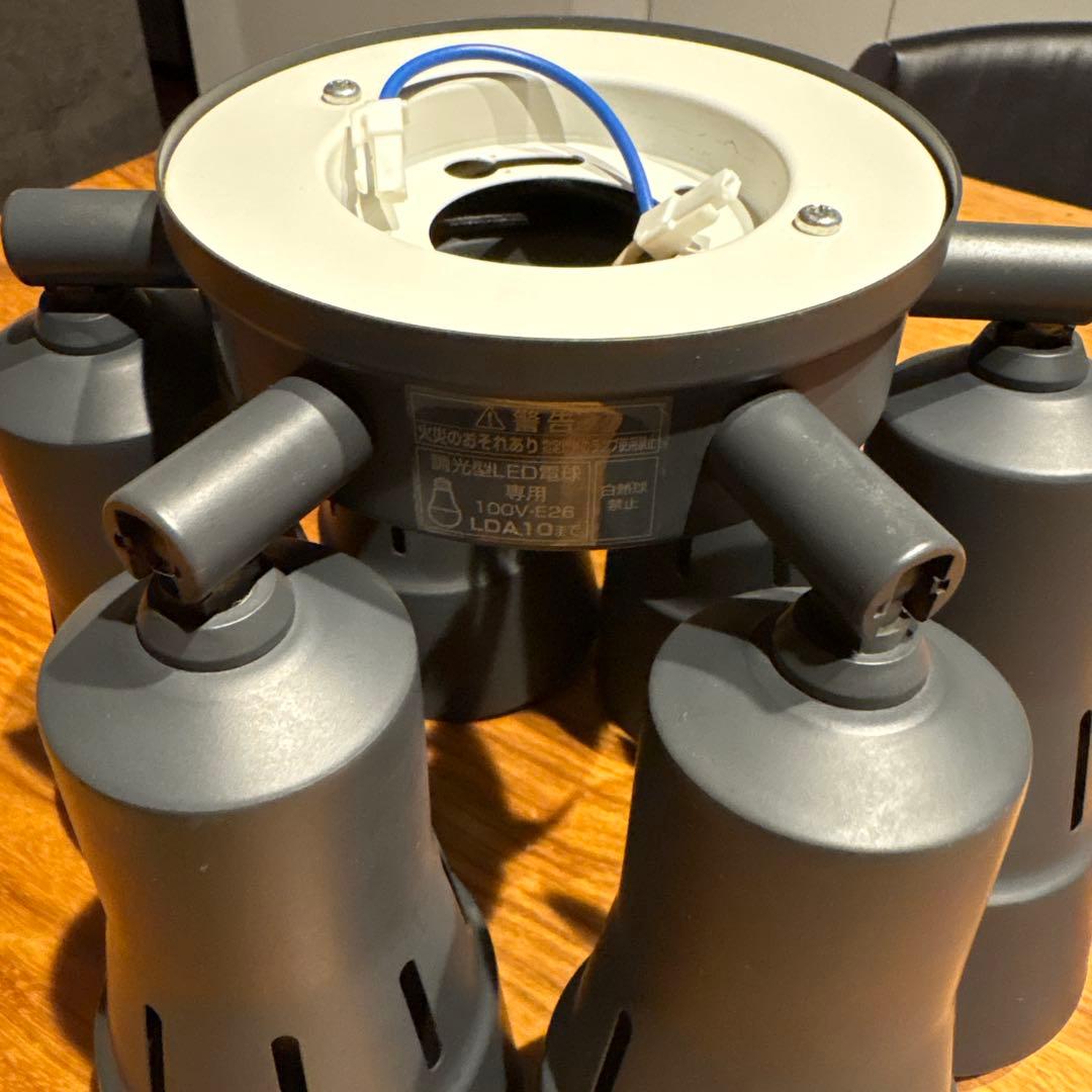 Odelic シーリングファン用灯具のみ　WF279PC