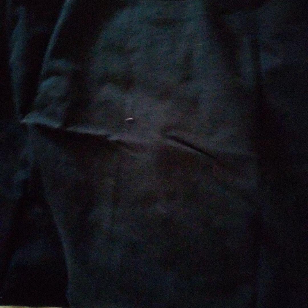 さらばあぶない刑事スタッフ非売品シャツ