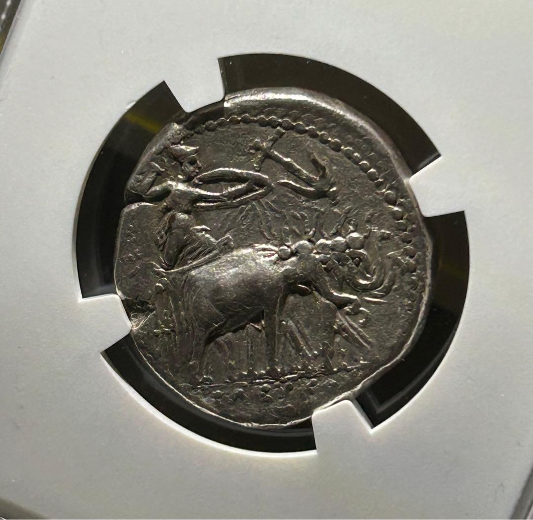 値下げ　セレウコス朝　セレウコス1世　テトラドラクマ銀貨　NGC鑑定済