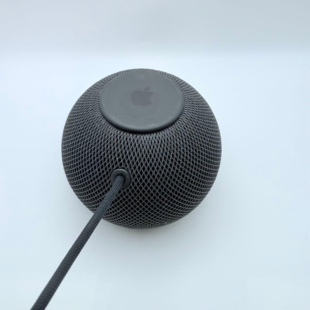 Apple Pod mini スペースグレー 本体