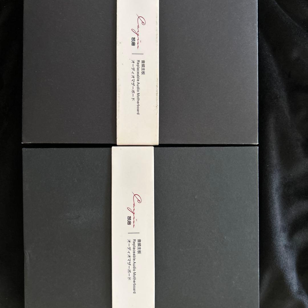 Cayin M6mk2 交換モジュール　E2&A1 ポータブルオーディオ