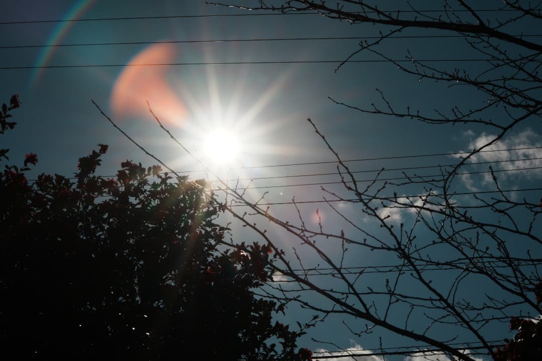 【整備＆テスト済】 AF Nikkor 70-210mm F4-5.6 561