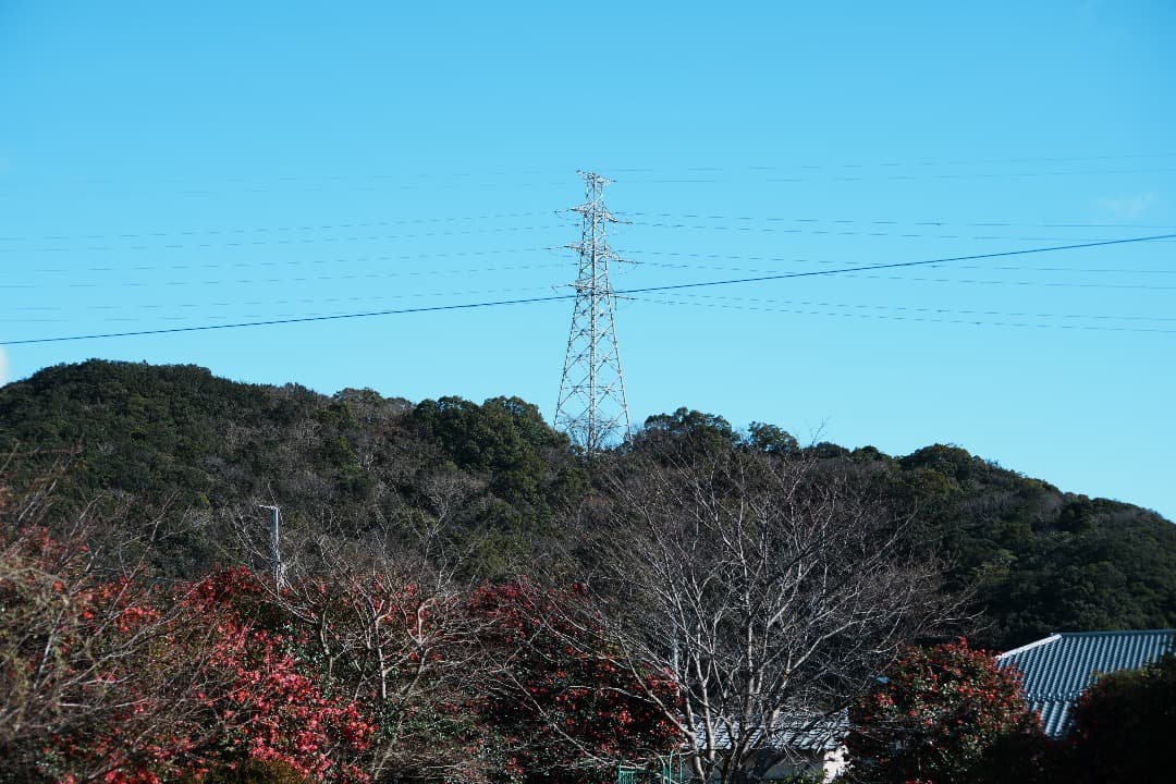 【整備＆テスト済】 AF Nikkor 70-210mm F4-5.6 561