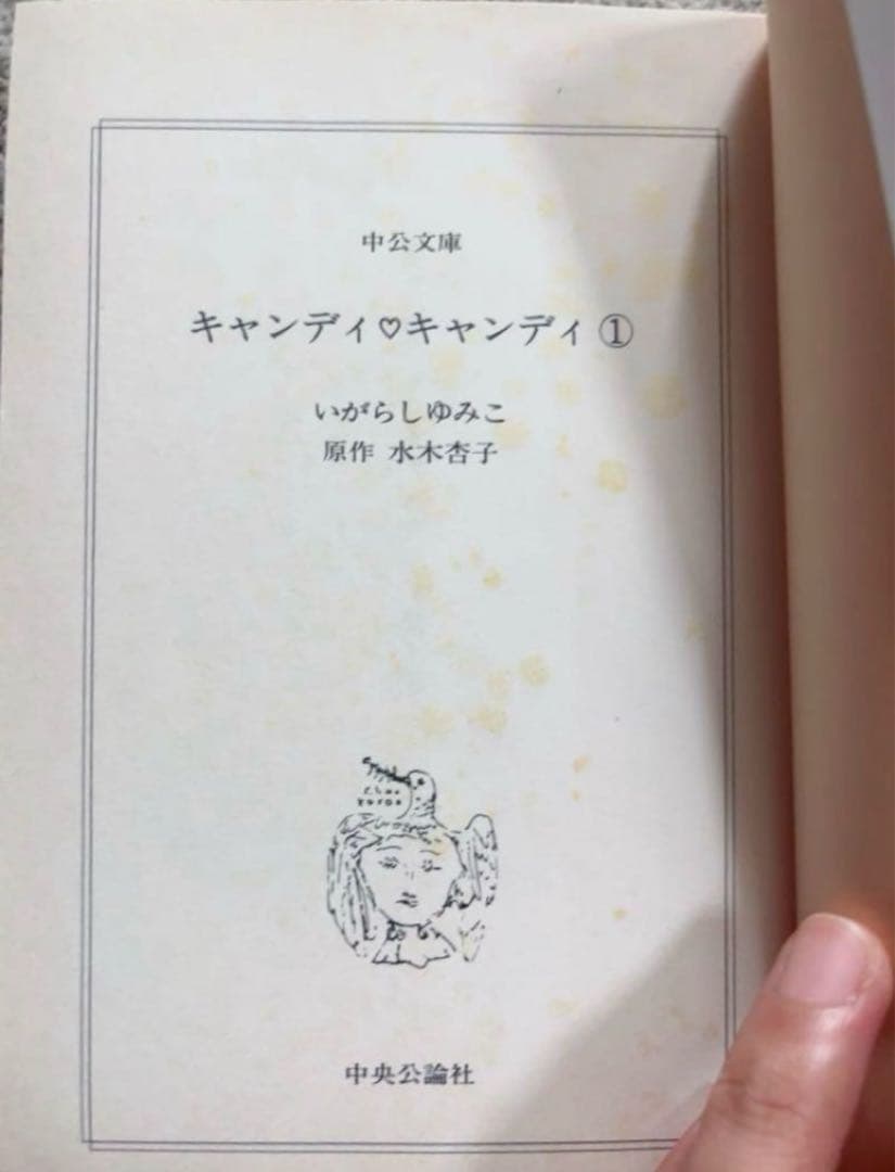 文庫版 キャンディキャンディ 全巻セット 箱入り