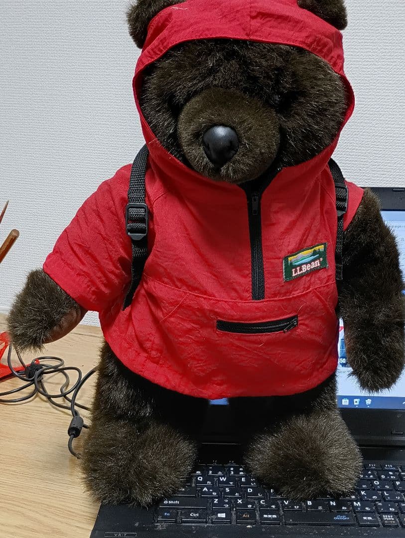 LL BEAN /LLベア