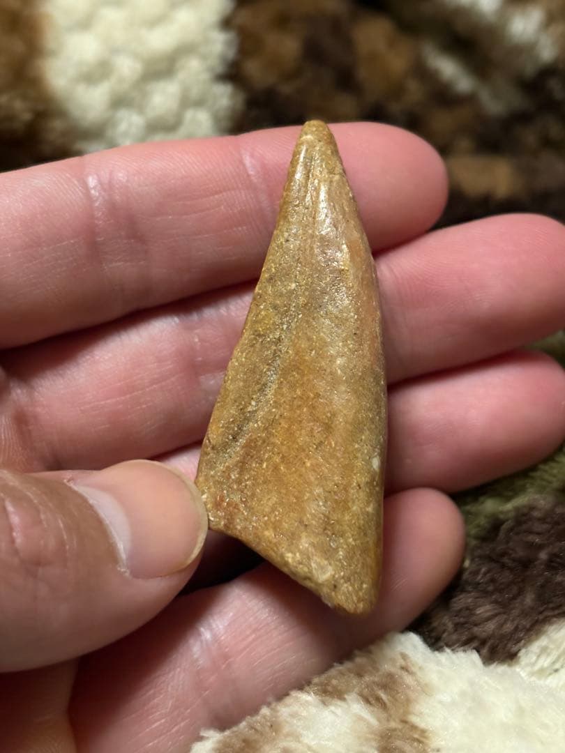 スピノサウルス　フットフロウ　化石