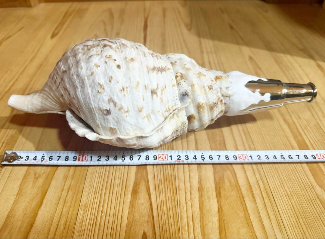 ☀︎Gracias☀︎です 大型修験道法螺貝39.5㎝　山伏　密教　魔除け