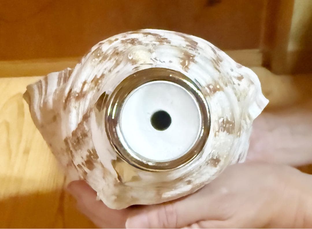 ☀︎Gracias☀︎です 大型修験道法螺貝39.5㎝　山伏　密教　魔除け