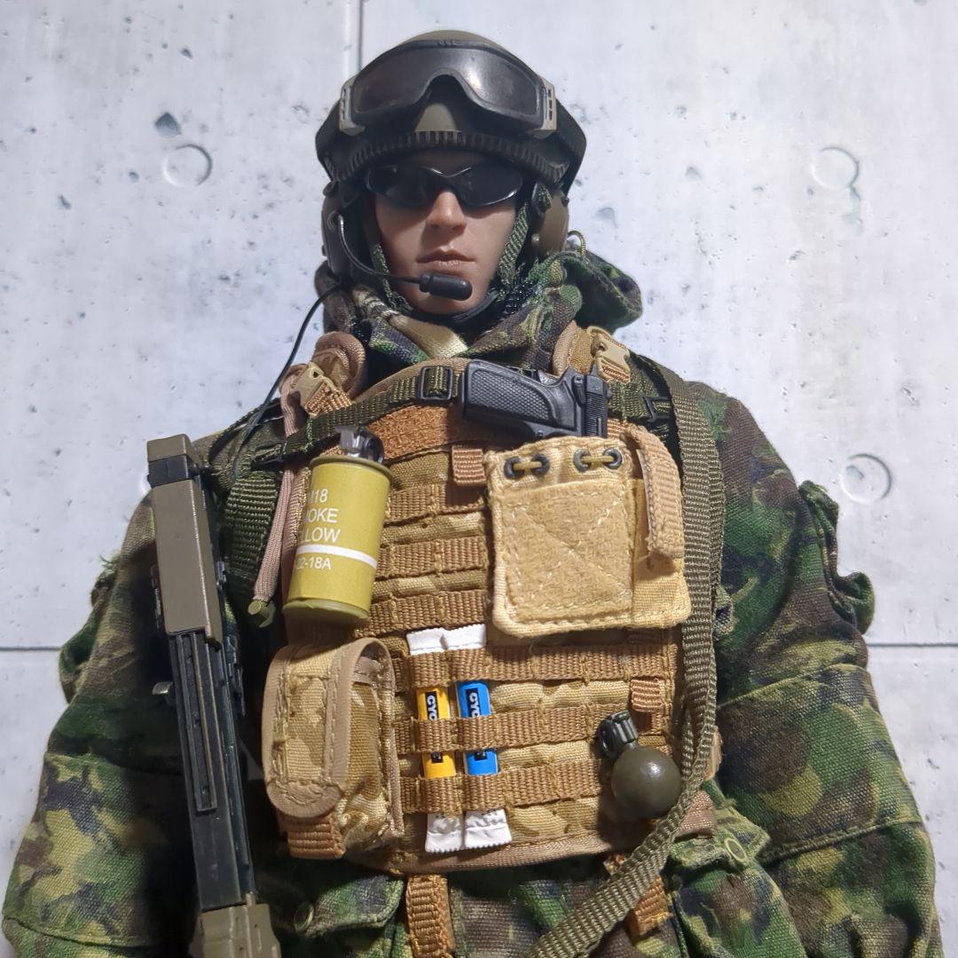 1/6 12インチ 英国特殊部隊 ロイヤルマリーン cs31