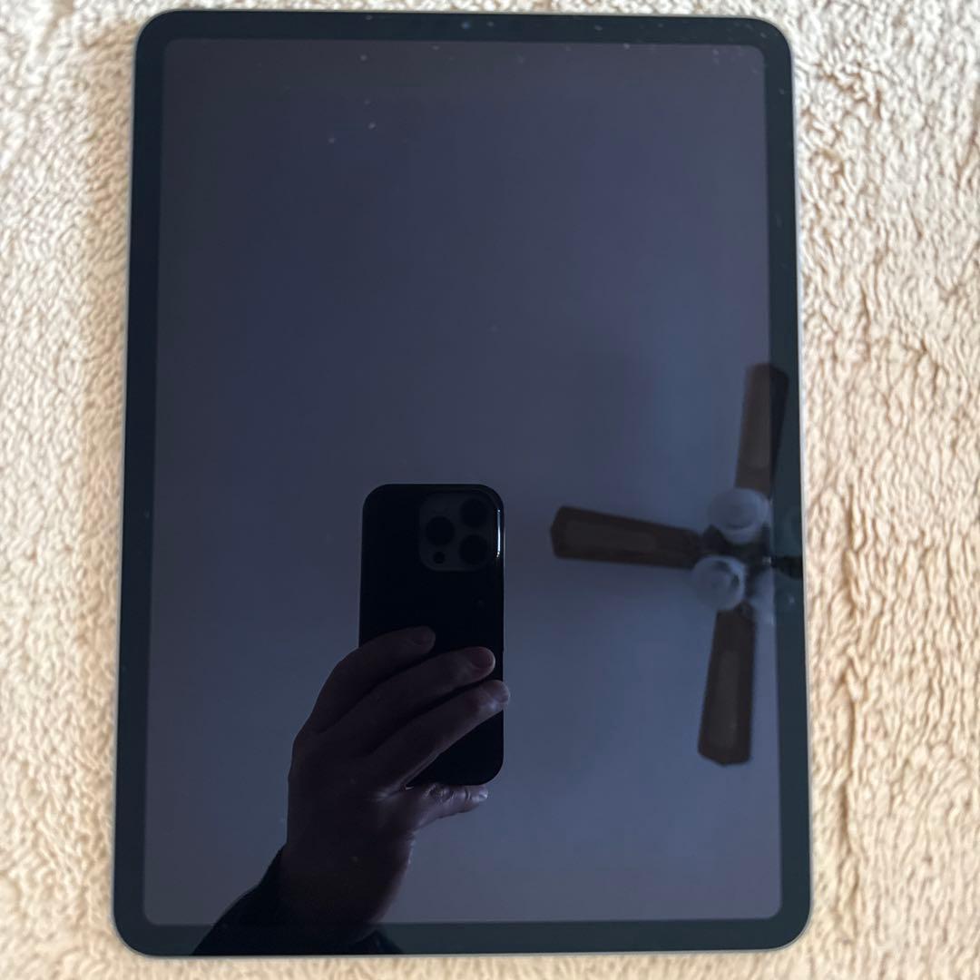 付属品完備美品iPad Pro11インチ（第2世代）128GB Wi-Fiモデル