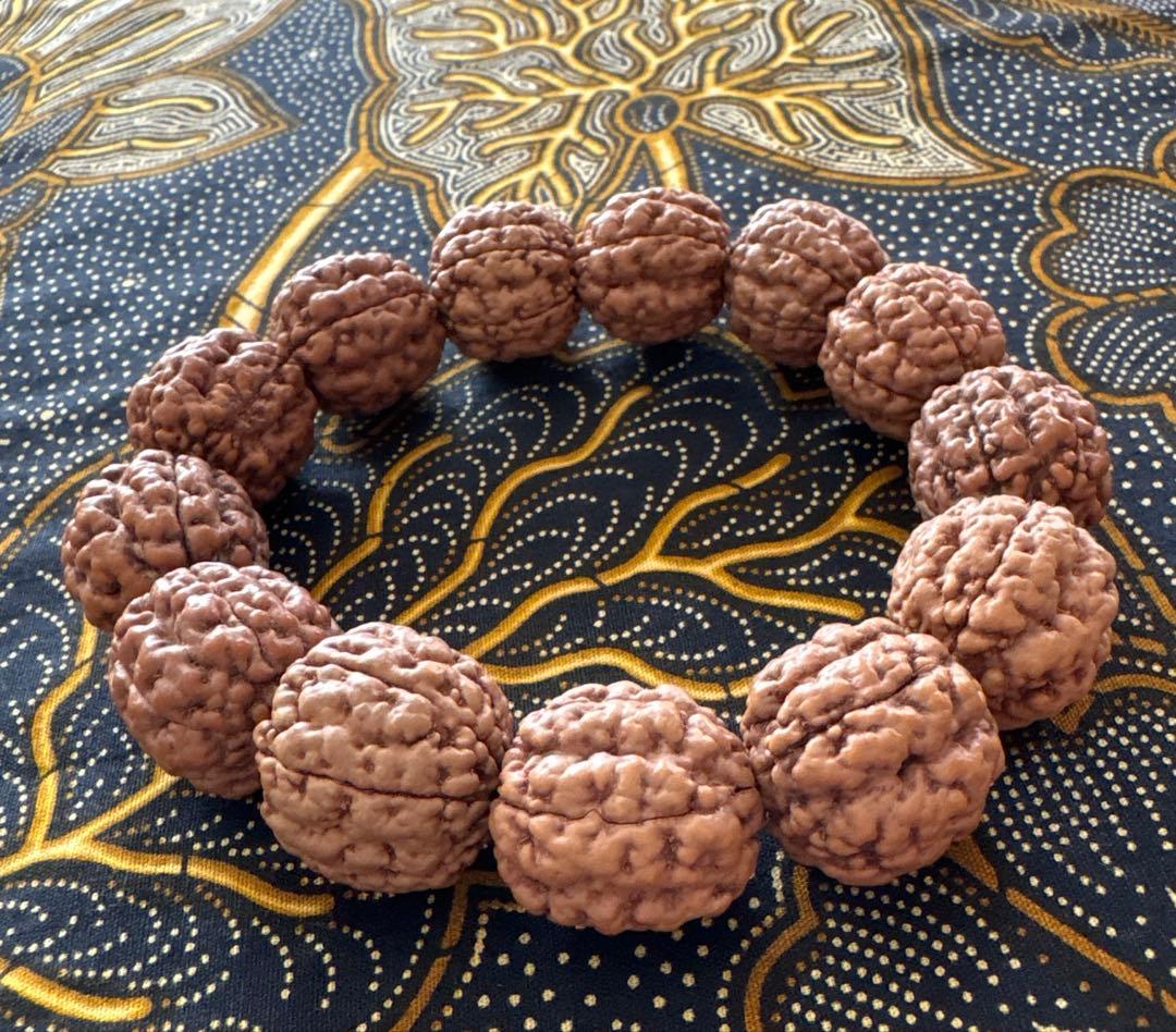 コッコブライド　ルドラクシャシナールブレスレット