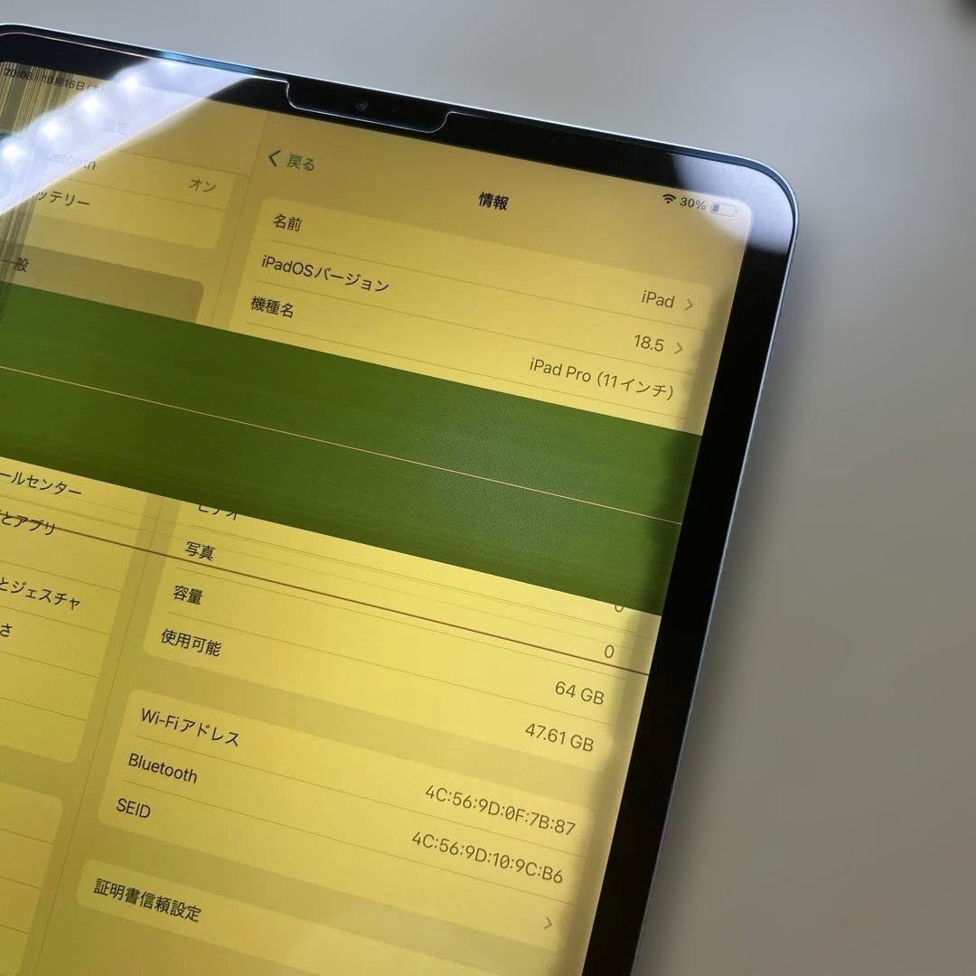 iPad Pro 11インチ　第1世代　64GB Wi-Fi 液晶不良あり