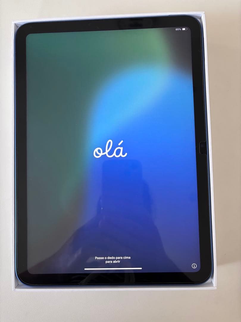 Apple iPad (第10世代) ブルー 本体　256GB