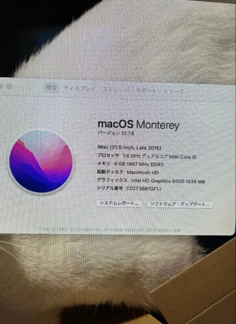 iMac 21.5 inch Late 2015 1TB 本体 ジャンク