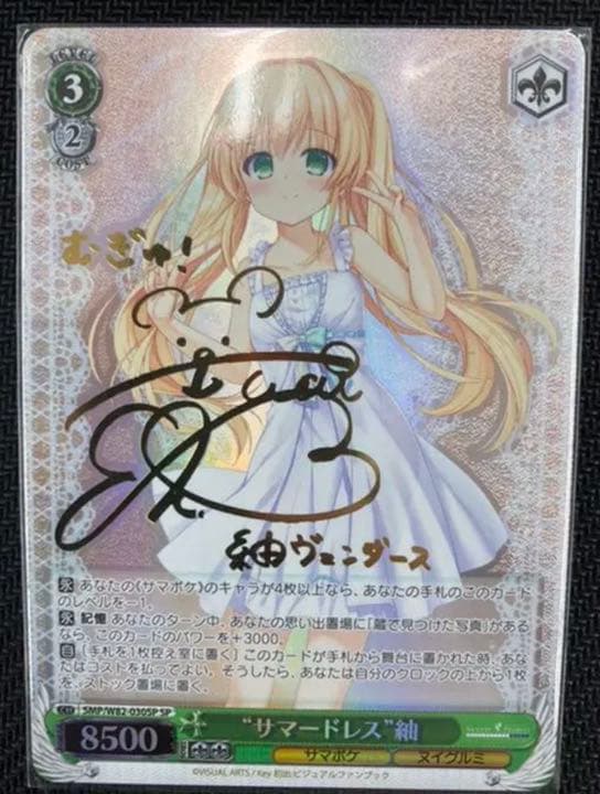 ヴァイスシュヴァルツ　サマードレス　紬　SP サイン