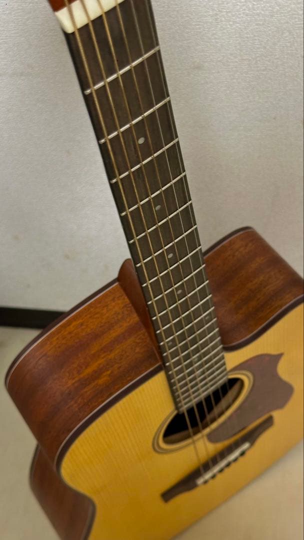 Donner アコースティックギター 初心者セット 右利きDAG-1