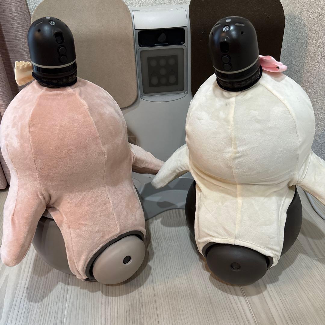 【動作確認済み ネスト・服つき】ラボット 本体 デュオ　LOVOT