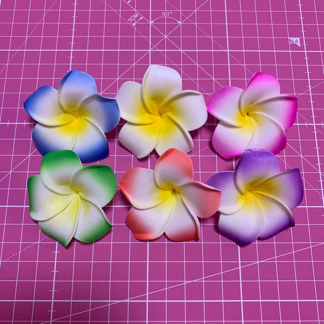 麦わら帽子Ꮇお好みカラー✗ホワイト犬・猫 プルメリア装飾❁handmade