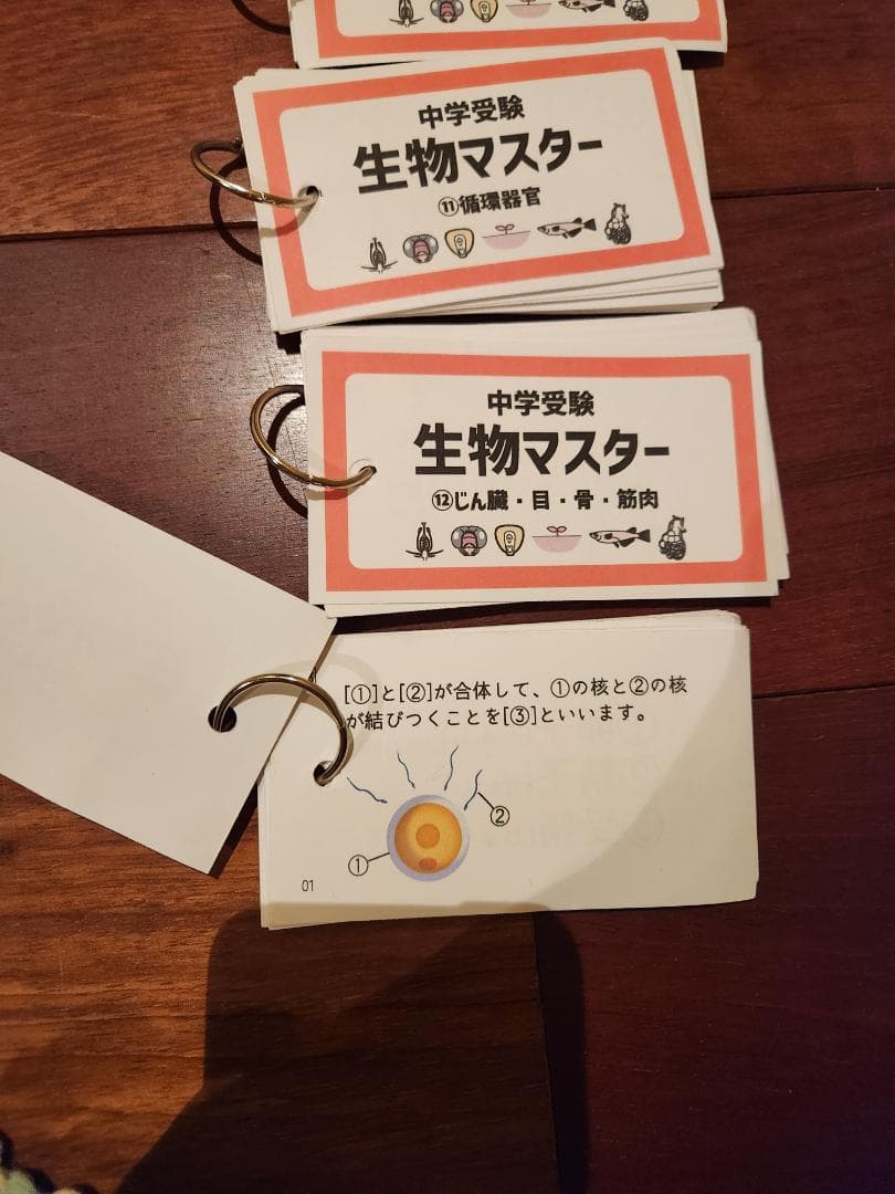 広島県　中学受験　暗記カード　広島