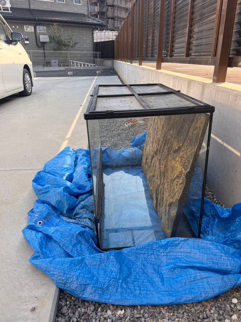 グラステラリウム9060 PT2614