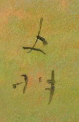 池野史明　 　　祇王寺彩霞