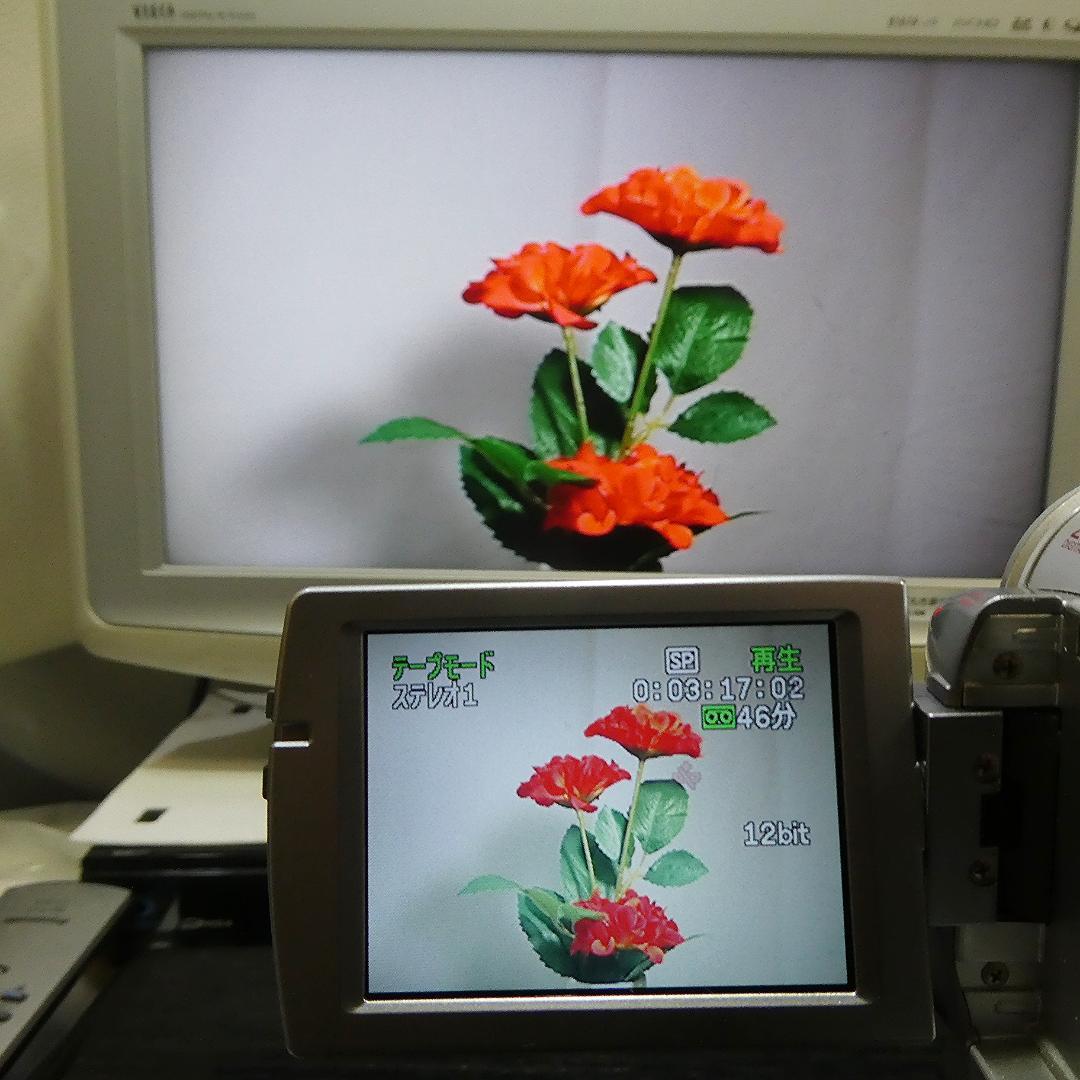 動作良好 キャノン DM IXY DV M3 MiniDVビデオ DVD化に最適