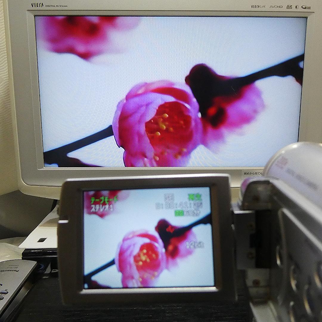 動作良好 キャノン DM IXY DV M3 MiniDVビデオ DVD化に最適