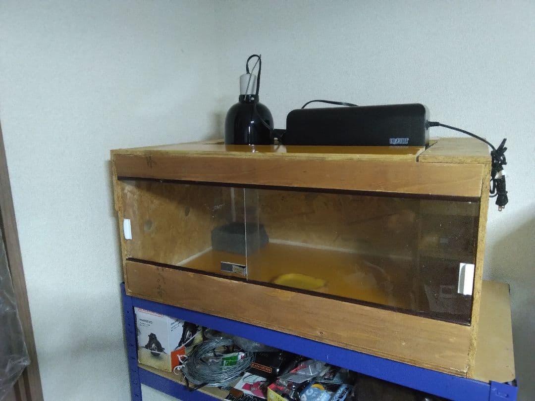 自作爬虫類ケージお得なセット！