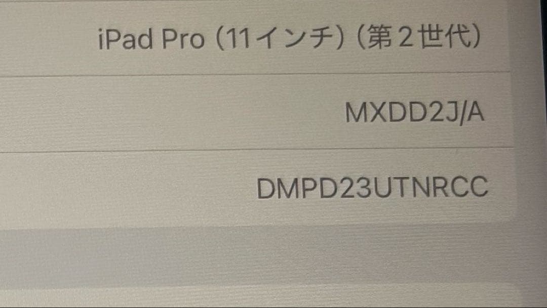 ち*わ様 今日限定値下げ中　iPad Pro 11インチ 第二世代　256GB