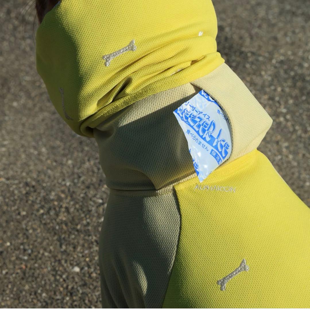 アルファアイコン ドッグガードクール バナナ