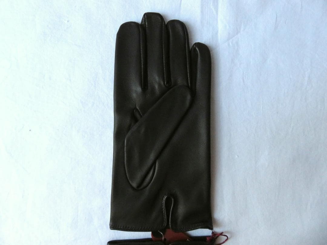 デンツ Daniel レザーグローブ M 007 スカイフォール アンラインド