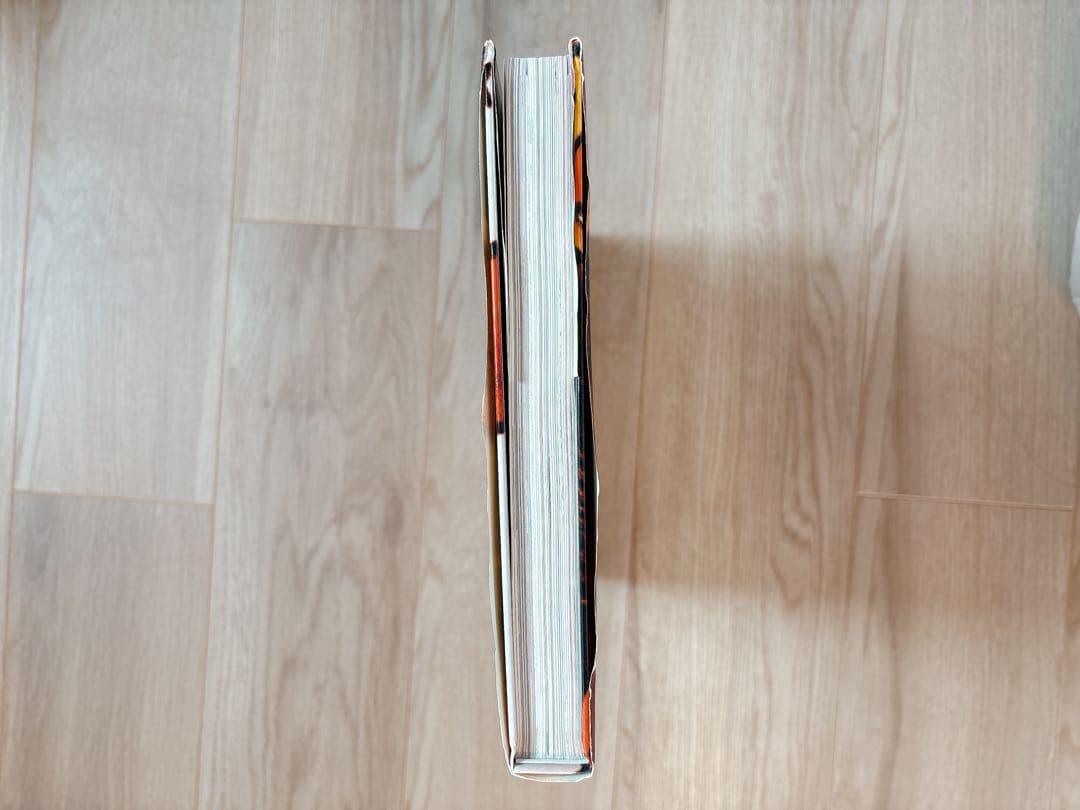 ロッキンジェリービーン 画集 希少 絶版 イラスト集 本 エロスティカ