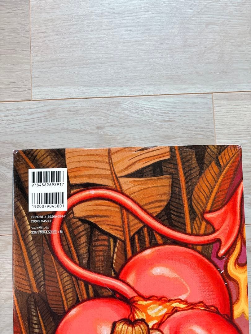 ロッキンジェリービーン 画集 希少 絶版 イラスト集 本 エロスティカ