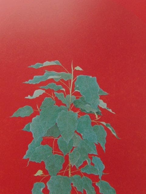 畠中光享、【仏のイメージ（菩提樹）】、希少な額装用画集より