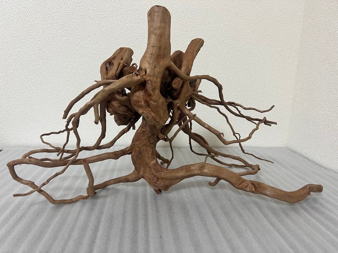 32613 ブランチウッド　流木　アクアリウム