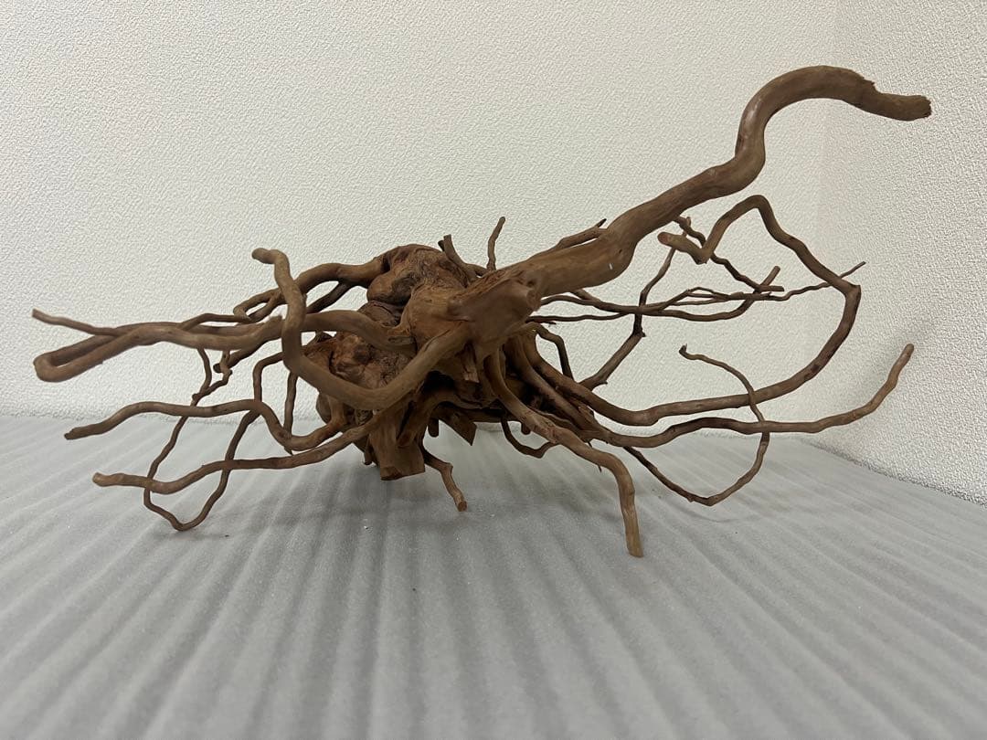 32613 ブランチウッド　流木　アクアリウム