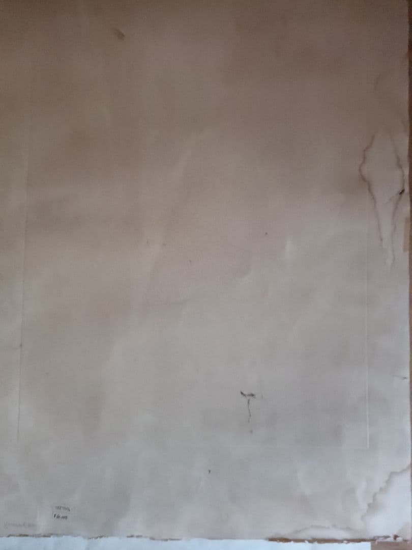 ワイズ バッシュ　作品の題名は 分かりません