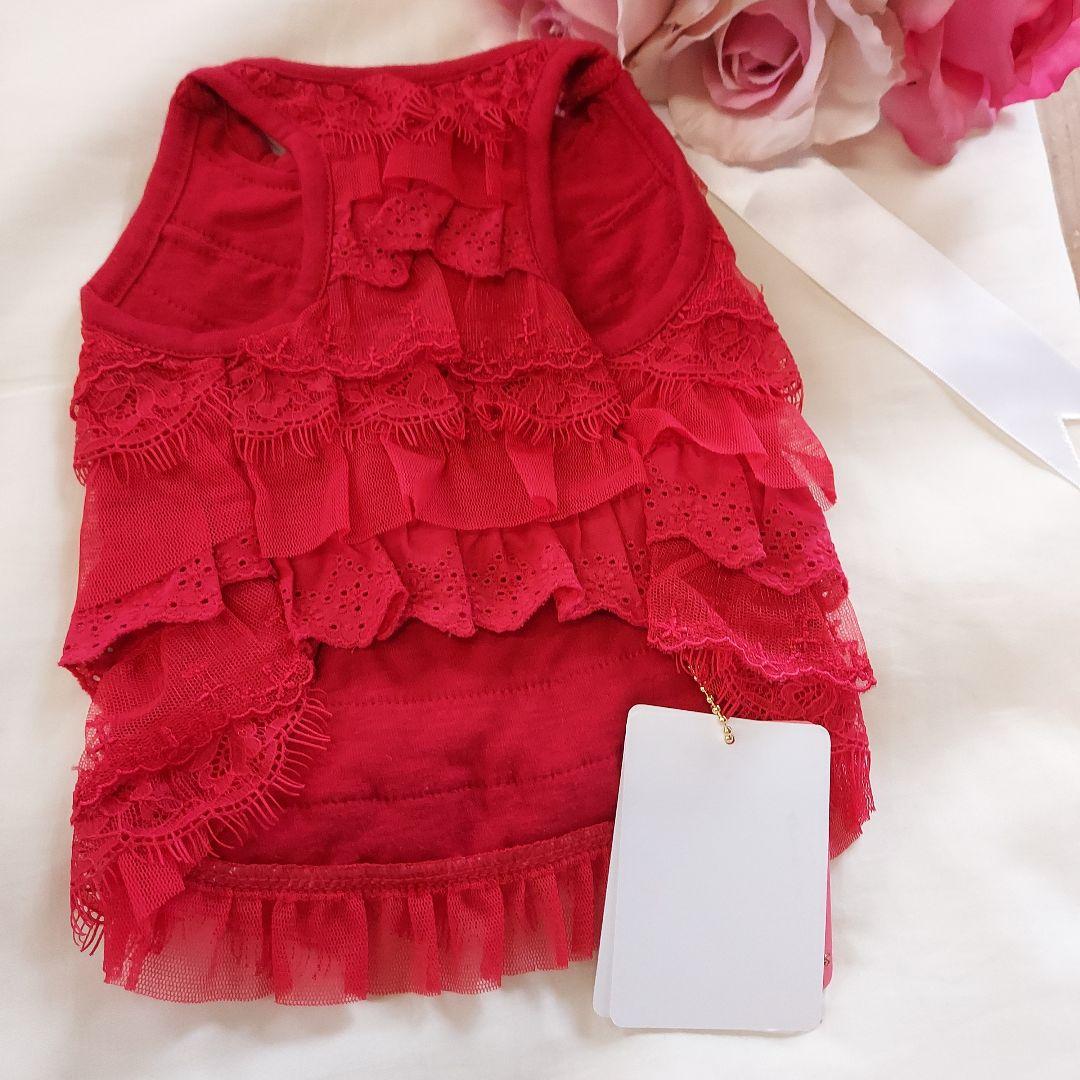 (新品未使用)ブルブブBULBU-BU犬用フリルドレス 水色・赤 2点セットSS