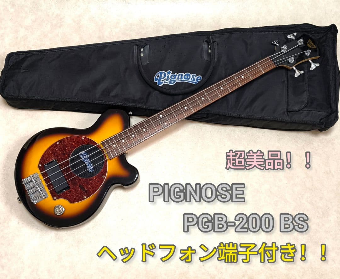 【超美品】PIGNOSE アンプ内蔵ミニベース BS 専用ケース付きピグノーズ