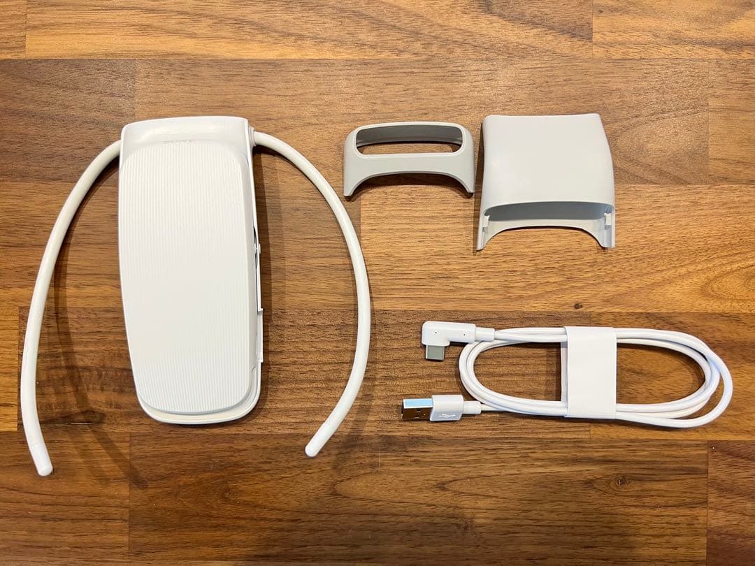 ソニー（SONY）　REON POCKET5　ケース付　レオンポケット