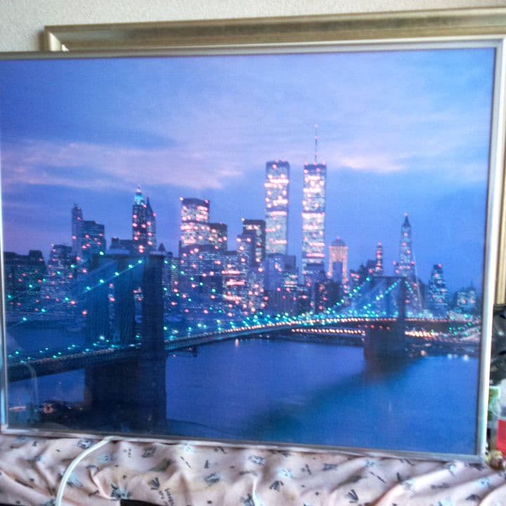 イルミネーション額