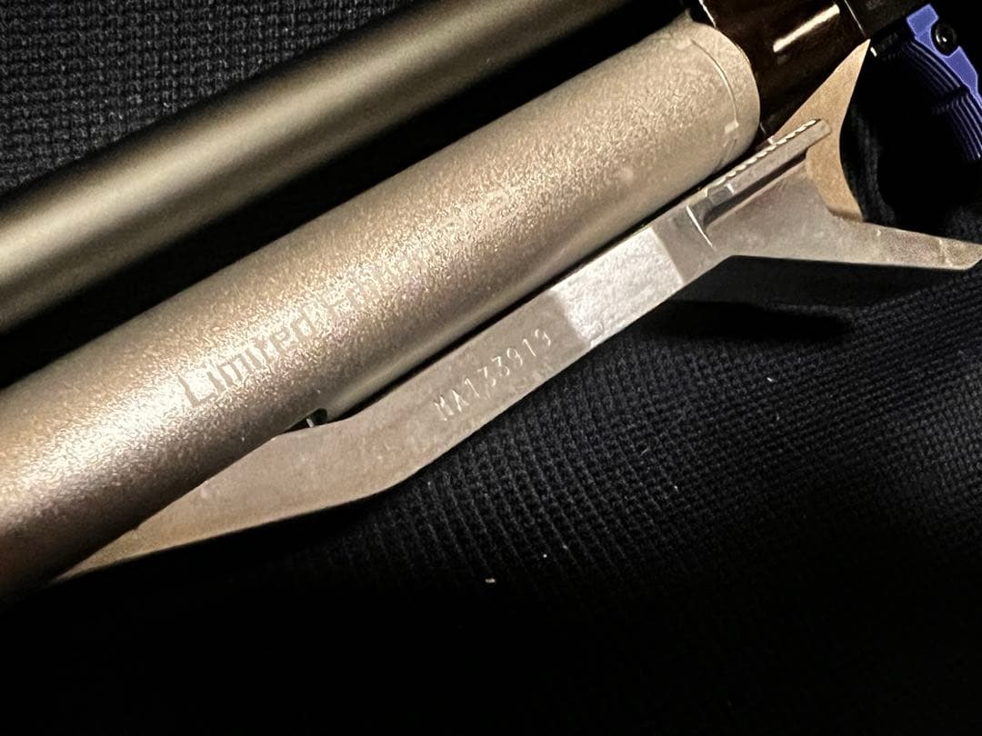 APS-3 Limited Edition 2021 コズミックシルバー