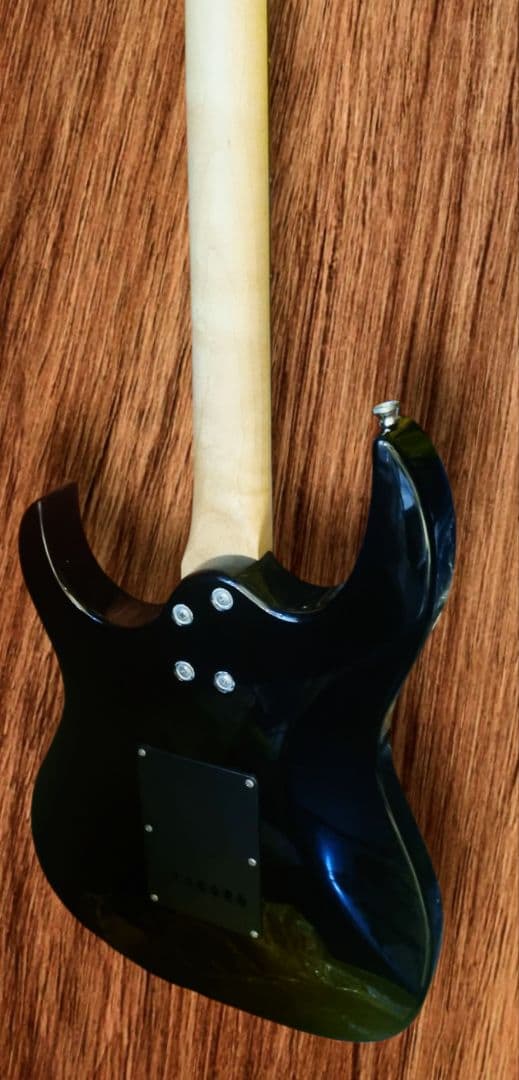 GIG THE PROFESSIONAL・ギター・ ソフトケースつき