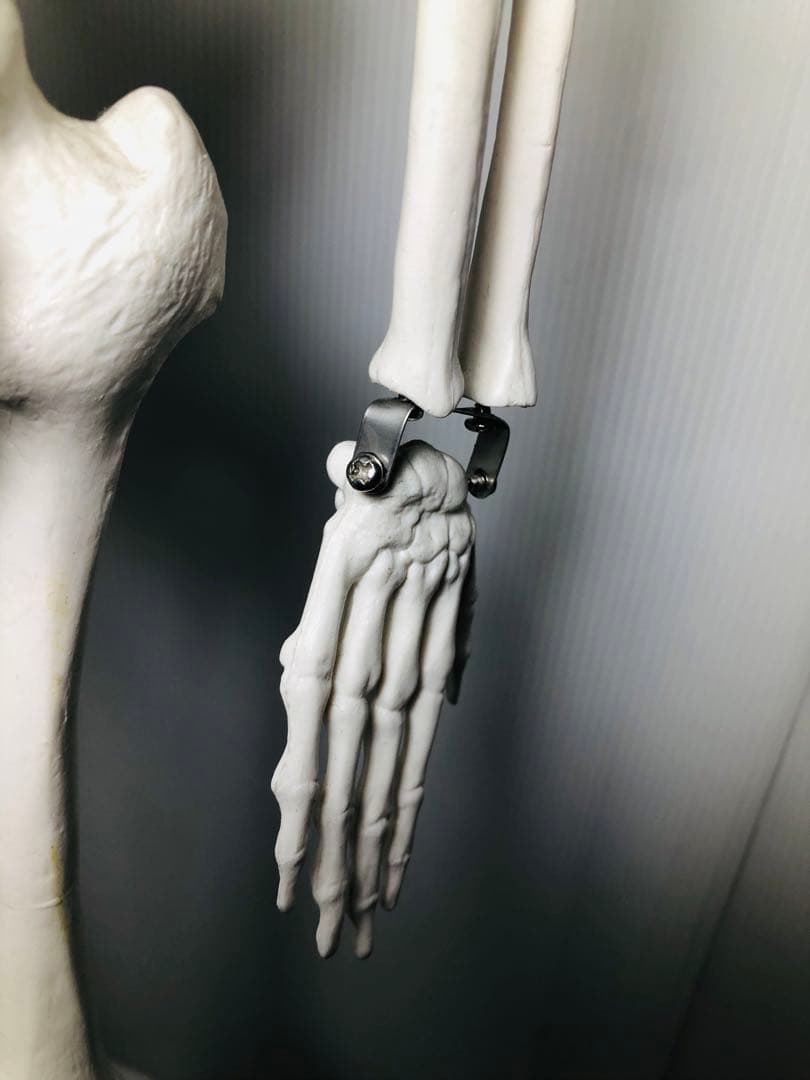 人体模型 高さ約83cm