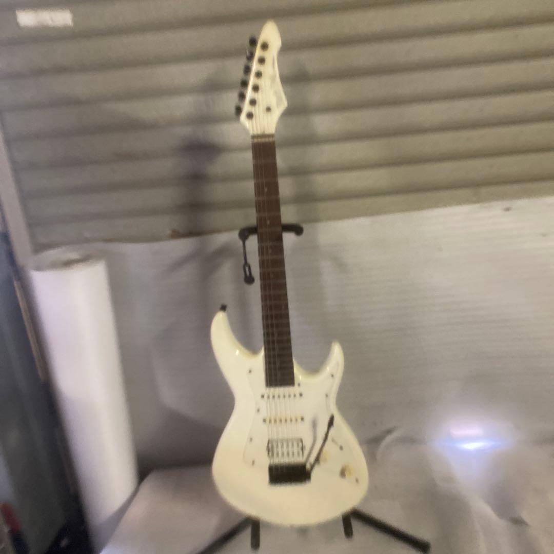 Black Dog by Aria Pro Ⅱ オフホワイト