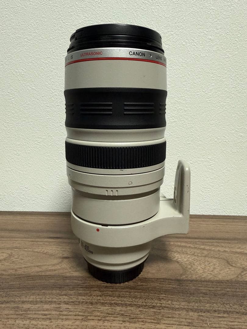 Canon EF100-400mm F4.5-5.6L IS(純正交換レンズ)