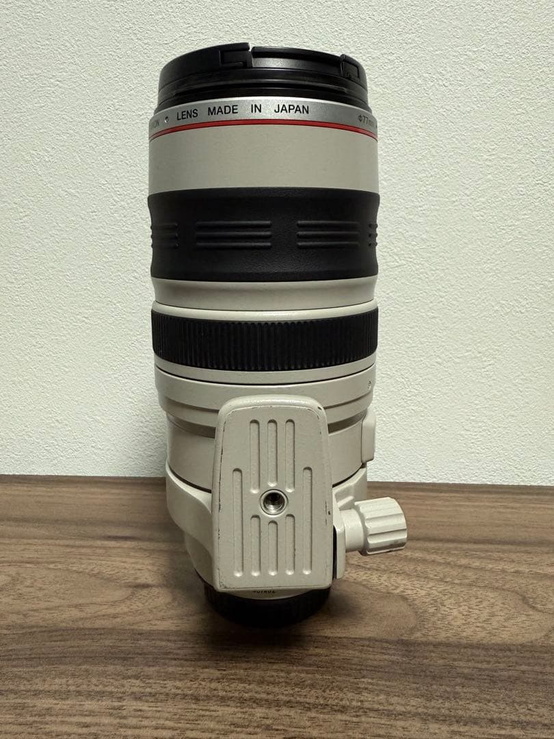 Canon EF100-400mm F4.5-5.6L IS(純正交換レンズ)