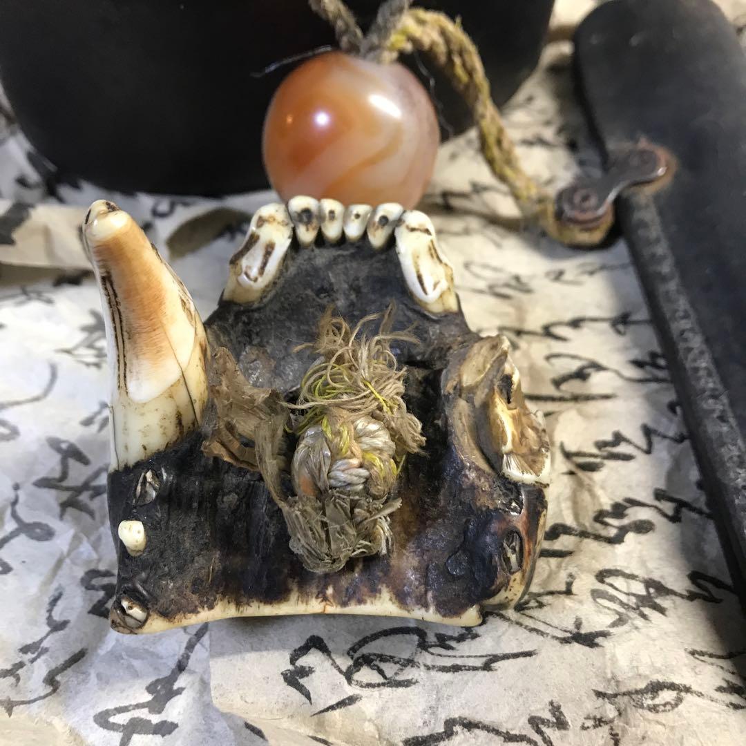 獣牙　根付　呪物　ニホンオオカミ　熊　煙草入れ　キセル　漆　緒締め　玉　メノウ