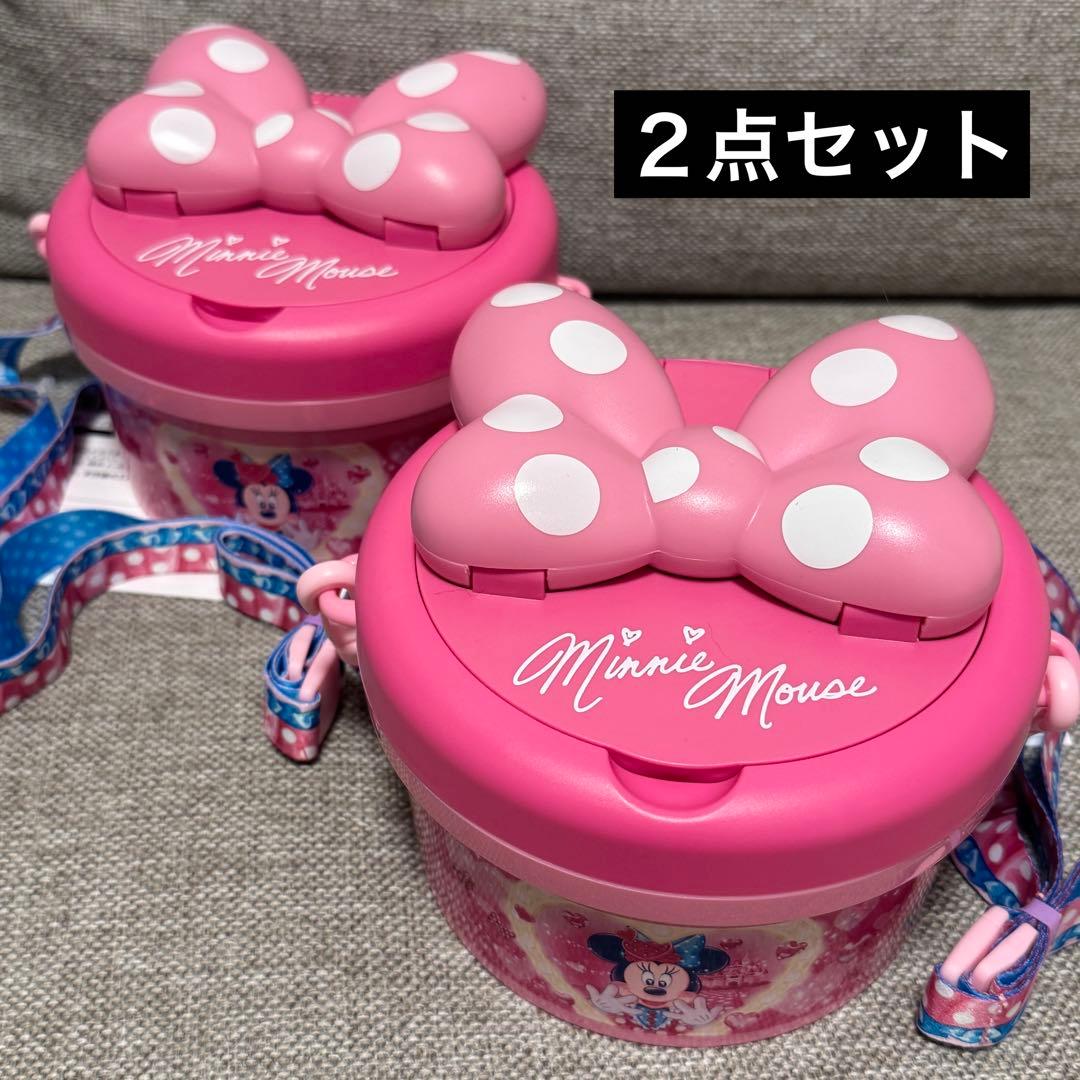 ディズニーランド ポップコーンバケット パルパルーザ ミニーのファンダーランド