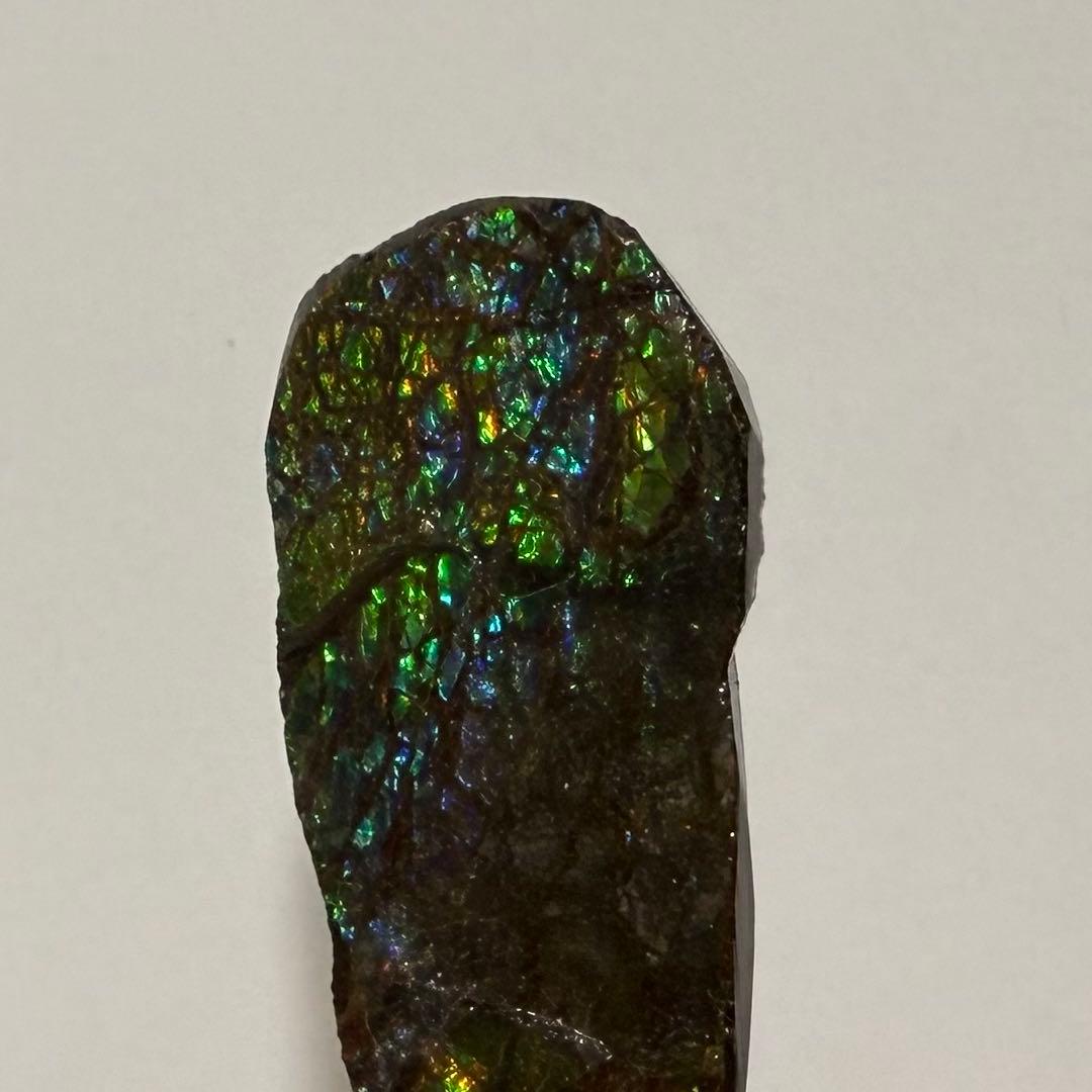 【美遊色】アンモライト 原石 15g アンモナイト化石 標本 コレクション